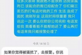 狮子座的职业之旅，星辰下的王者之路