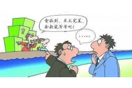 新婚姻法咨询，解析与理解的关键亮点