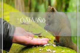 面对婚姻不顺与工作不顺利，如何调整心态？