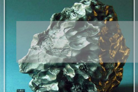 生肖蛇与虎，独特的缘分与互动