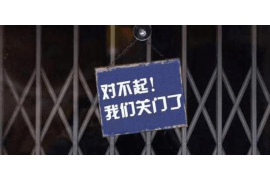 狗生肖，忠诚与敏锐的象征