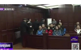 探索情感与自我,深度解读人工智能的独特视角 探索情感与自我,深度解读人工智能的独特视角