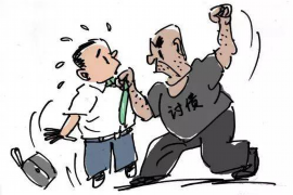 生肖猴今年运程——智慧之灵的盛夏舞动