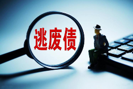 生肖鸡与凤凰的神秘缘分 生肖鸡与凤凰的神秘缘分