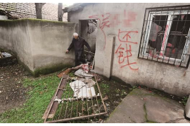 生肖大版虎,力量与勇气的象征 生肖大版虎,力量与勇气的象征