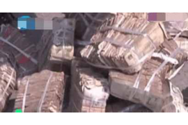 生肖蛇挂件，神秘与优雅的象征