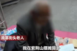 2016年生肖猪运势分析 2016年生肖猪运势分析