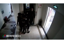 生肖猴，灵动活泼的生肖之星