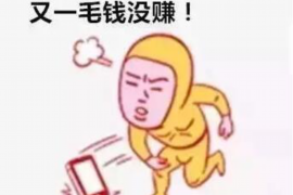 处女座与射手座的独特交织