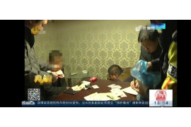 揭秘生肖牛的完美配对,谁是最佳伴侣? 揭秘生肖牛的完美配对,谁是最佳伴侣?