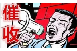 生肖运势2017年运程解析，揭秘你的幸运年