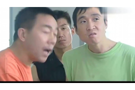 猪生肖职业——蓬勃生机下的专业舞台