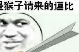 生肖兔，温婉而灵动的中国十二生肖之典范