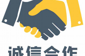 男龙女兔，缘起缘落两生肖的奇妙相性