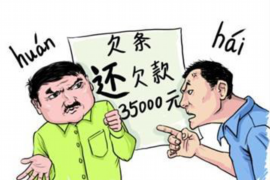 鸡前虎后探生肖之谜