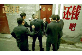 生肖兔的职业之旅 生肖兔的职业之旅